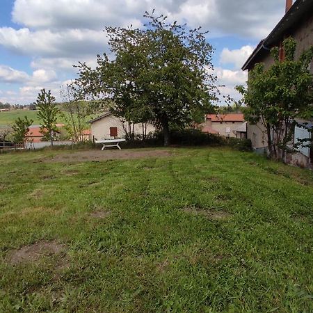 Studio Chaleureux Dans Les Monts Du Forez Verrieres-en-Forez Exteriör bild